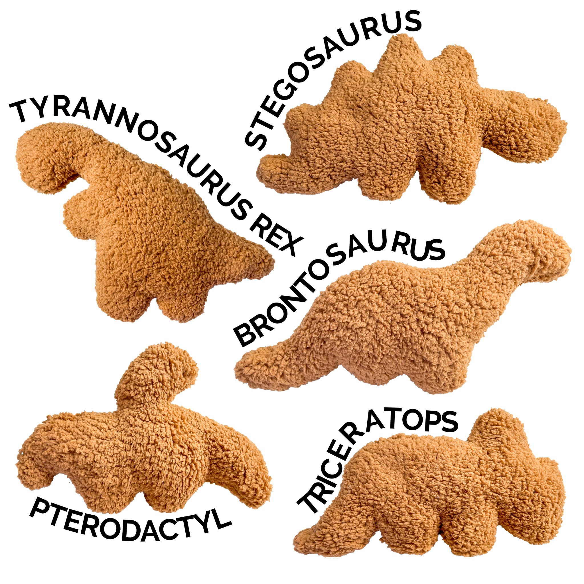 Five dinosaur-shaped chicken nuggets labeled Tyrannosaurus Rex, Stegosaurus, Brontosaurus, Pterodactyl, and Triceratops.
